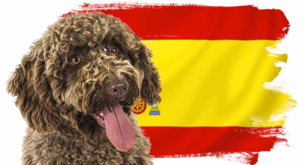 Dog names in spanish , Spanish Dog Names