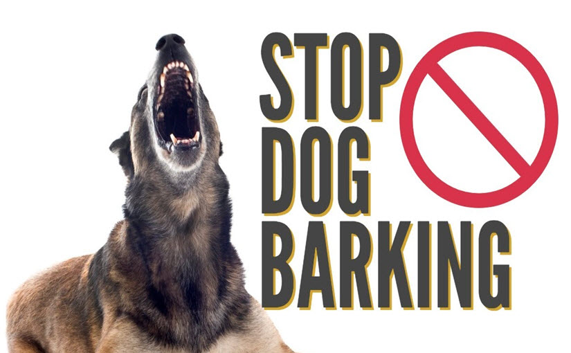 stop a dog from barking