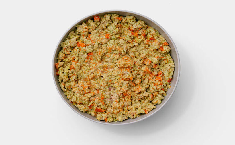 Healthy Homemade Dog Food Recipe for Vibrant Coats and Energy