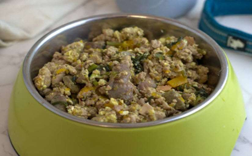 Homemade dog food recipes for dogs with allergies to dairy