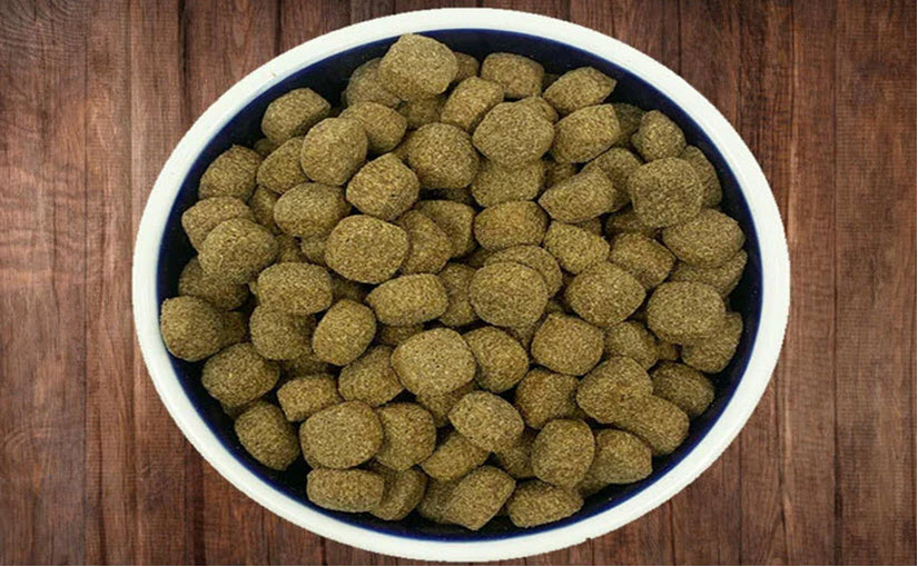 How to make air dried dog food