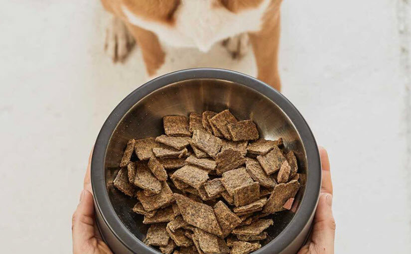 How to make air dried dog food