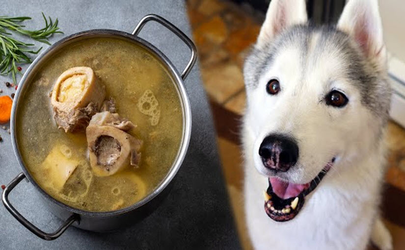 How to make homemade dog food with bone broth