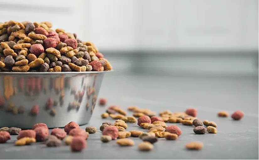 How to make hydrolyzed protein dog food