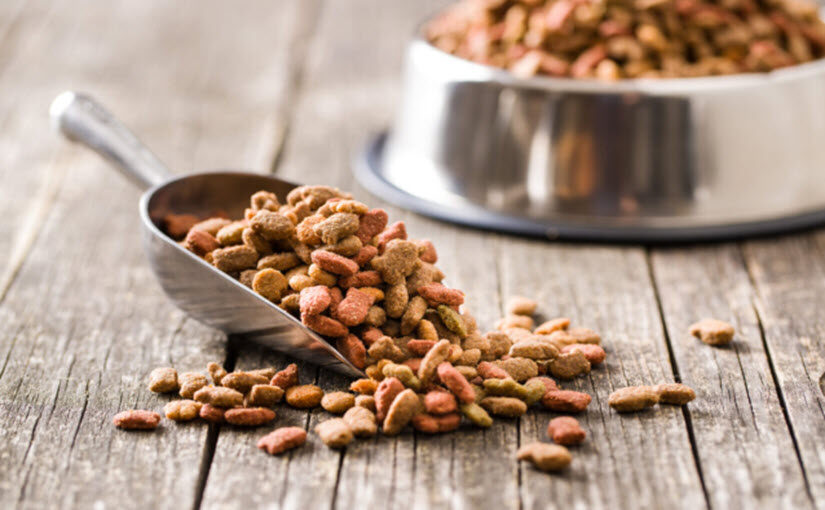 How to make hydrolyzed protein dog food