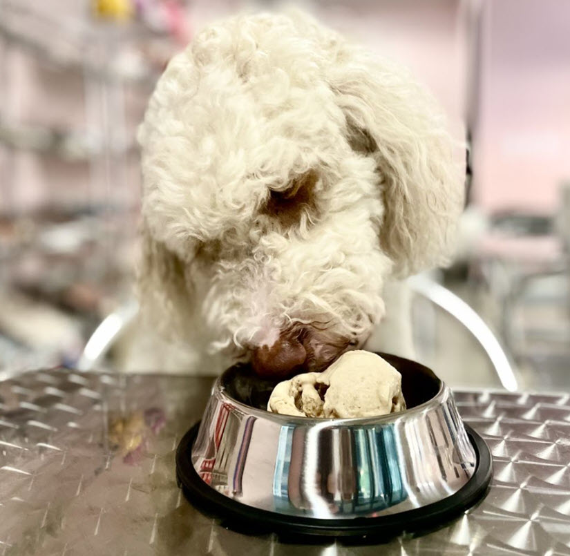 how to make dog ice cream